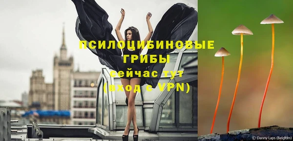 трава Баксан