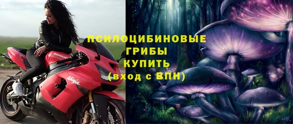 трава Баксан