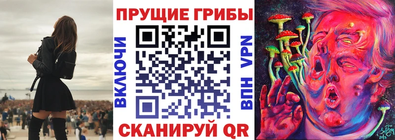 Галлюциногенные грибы MAGIC MUSHROOMS  закладки  Нязепетровск 